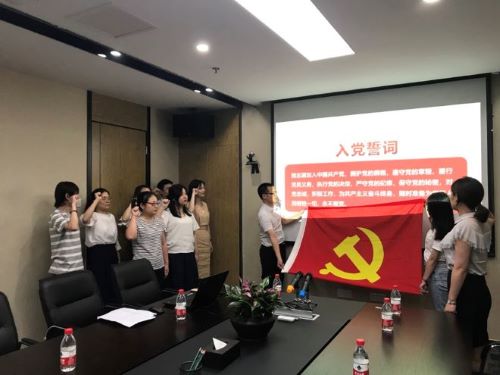 公司第一黨支部、第二黨支部分別召開黨員大會暨“不忘初心，牢記使命”主題教育專題黨員活動日