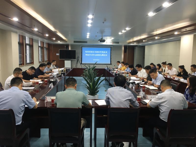 皖投置業(yè)公司召開2021年第九期黨總支中心組學(xué)習(xí)