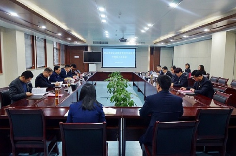 皖投置業(yè)公司組織召開黨史學習教育專題民主生活會