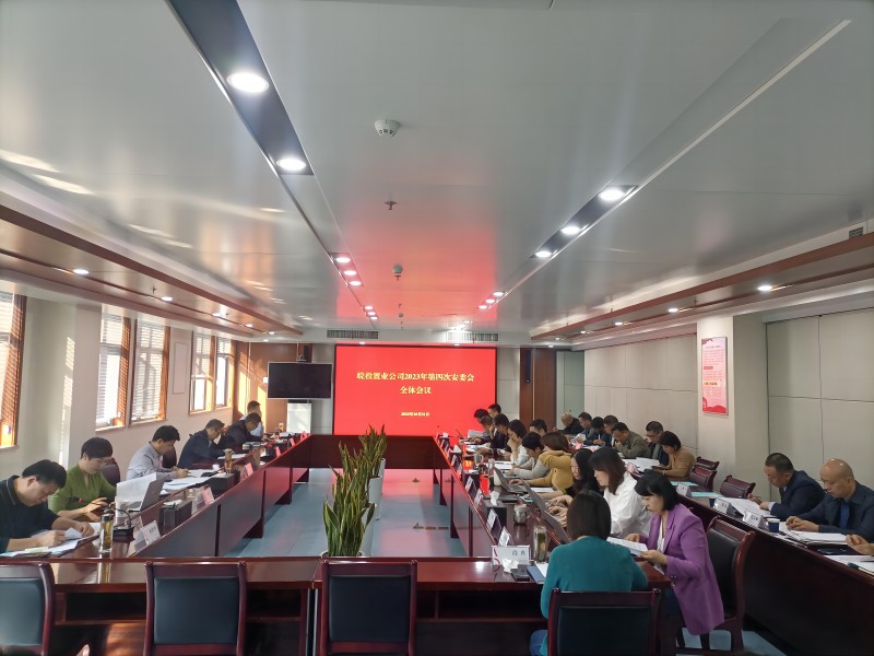 皖投置業(yè)公司召開2023年第四次安委會(huì)全體會(huì)議